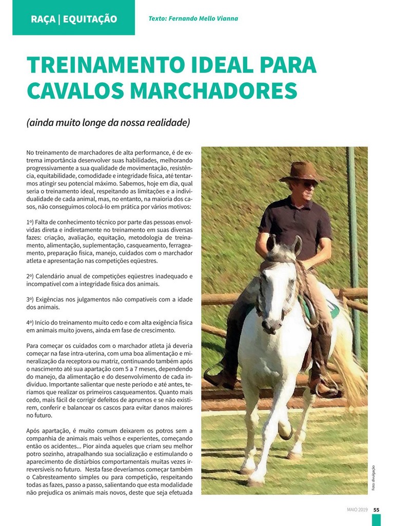 TREINAMENTO IDEAL PARA CAVALOS MARCHADORES