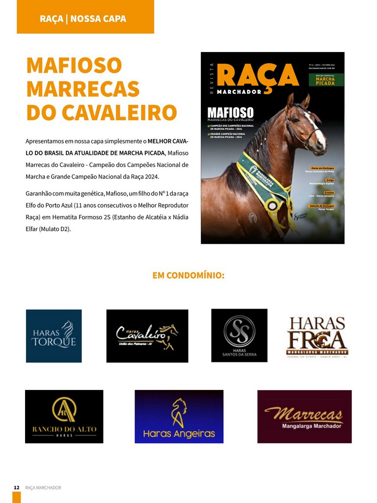 MAFIOSO MARRECAS DO CAVALEIRO