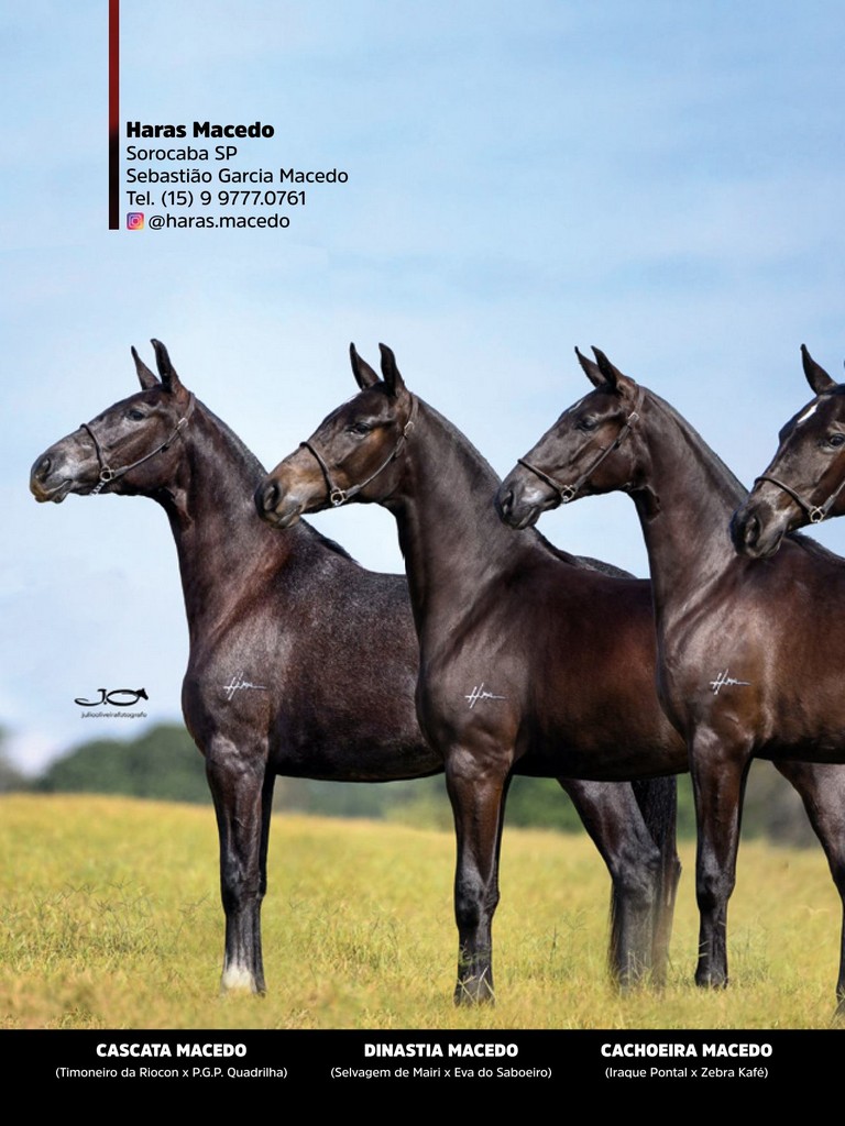 Página 102 Página 102