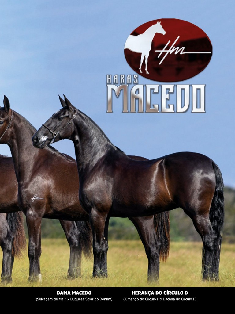 Página 103 Página 103