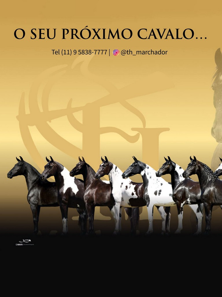 Página 104 Página 104