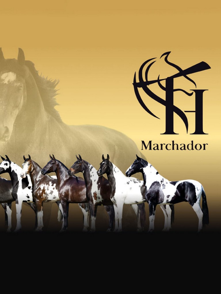 Página 105 Página 105