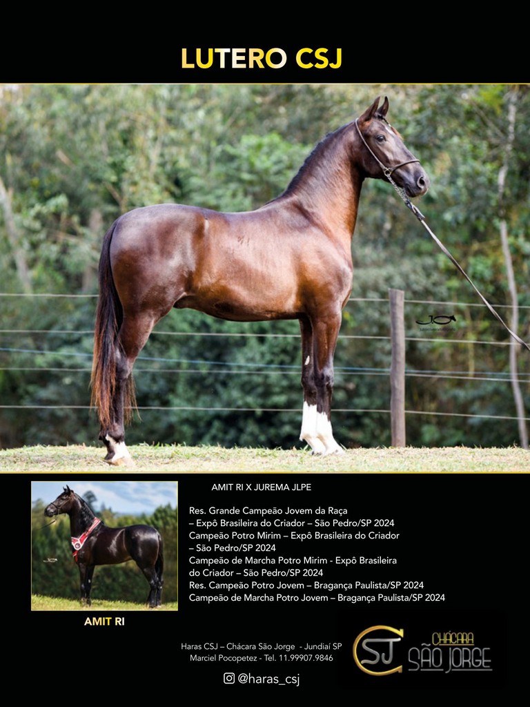 Página 106 Página 106