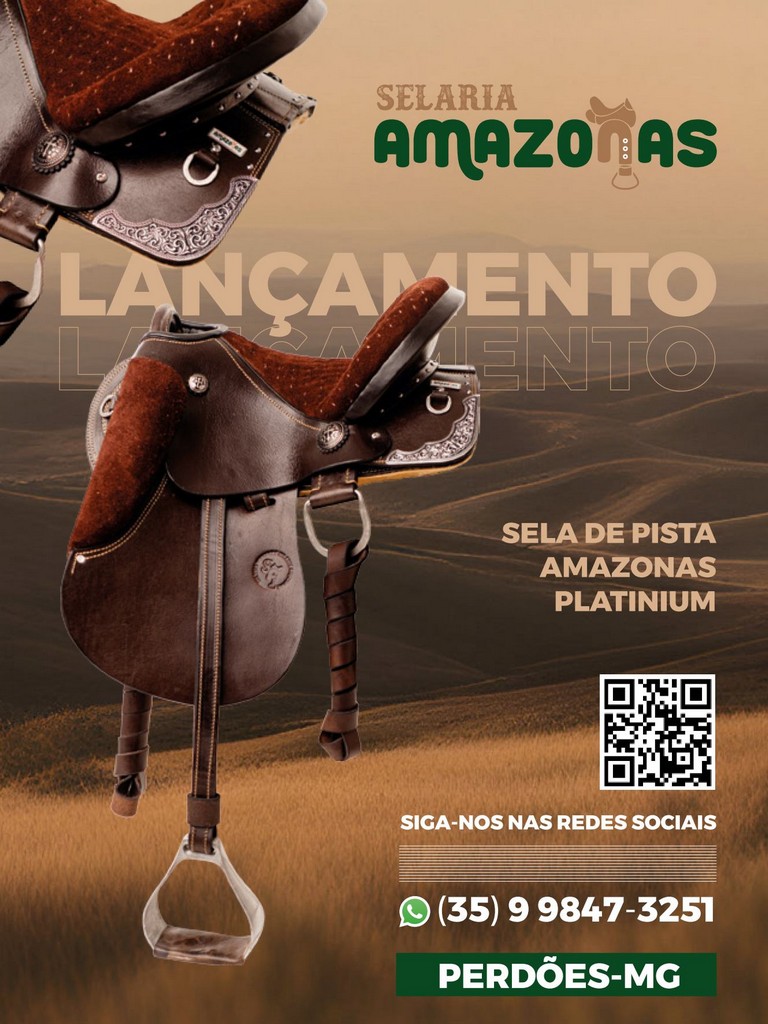 Página 11 Página 11