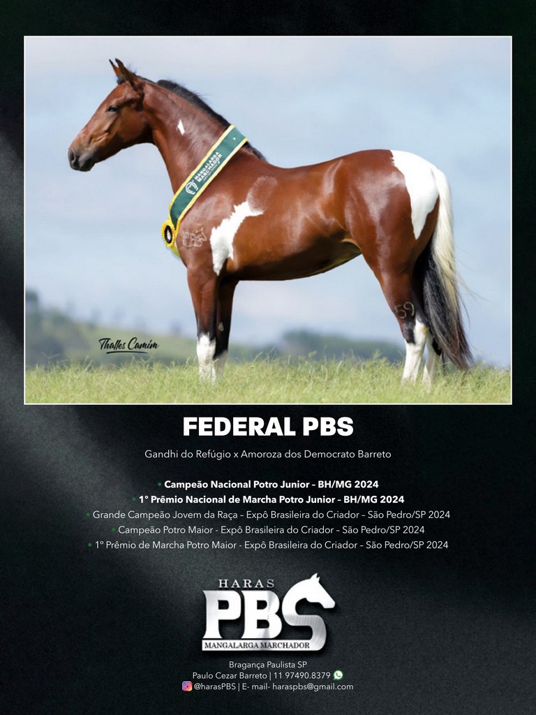 Página 111 Página 111