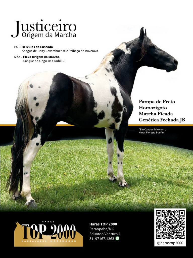 Página 113 Página 113