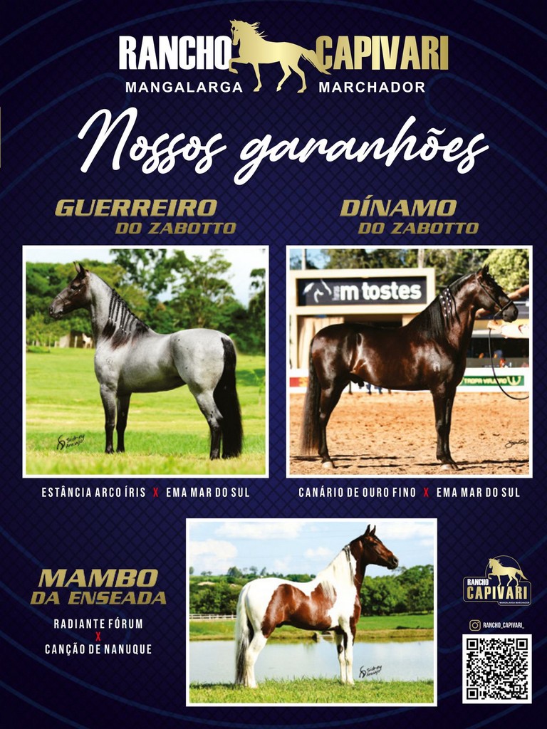 Página 115 Página 115