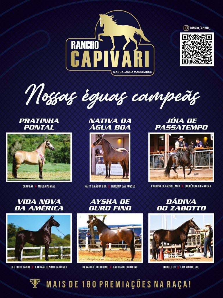 Página 116 Página 116