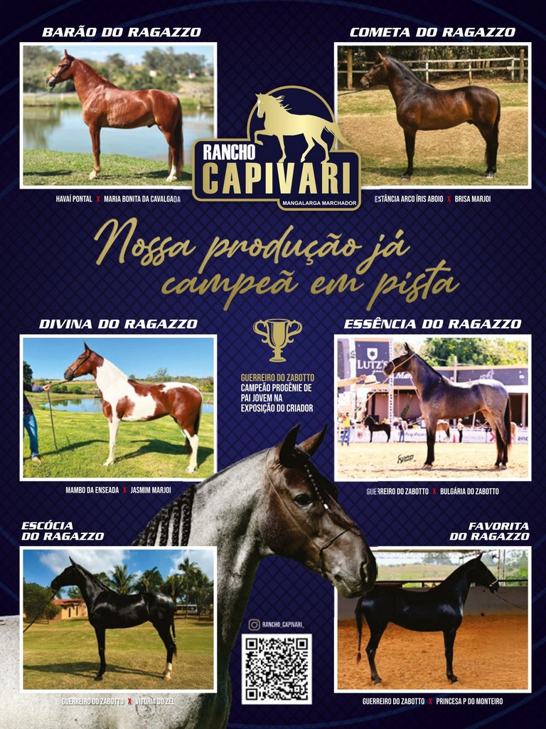 Página 117 Página 117