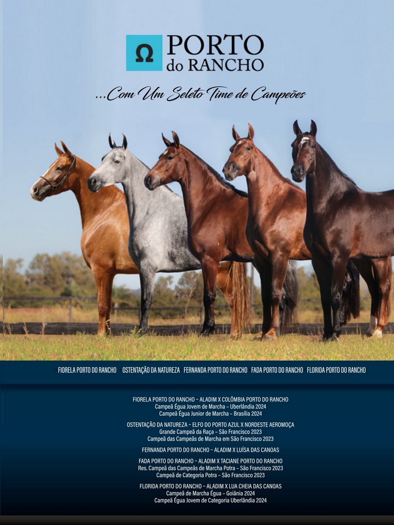 Página 121 Página 121