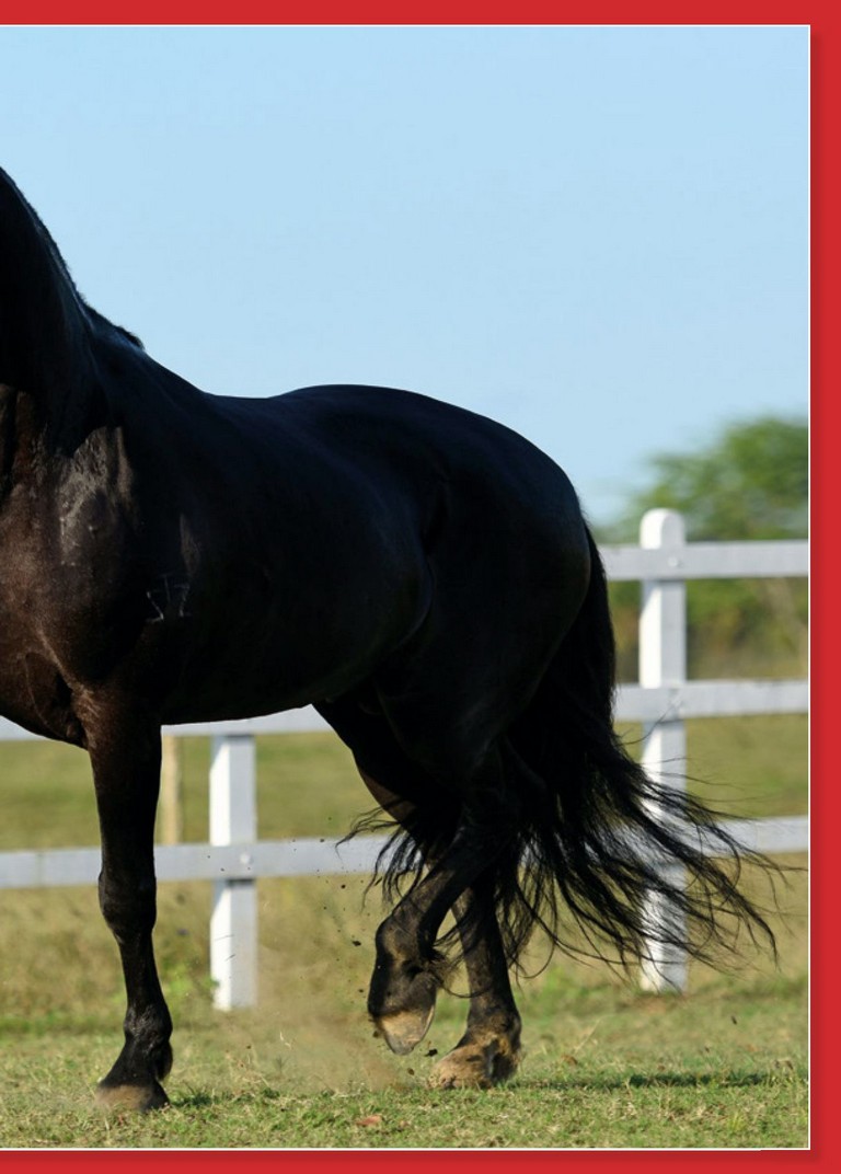 Página 125 Página 125