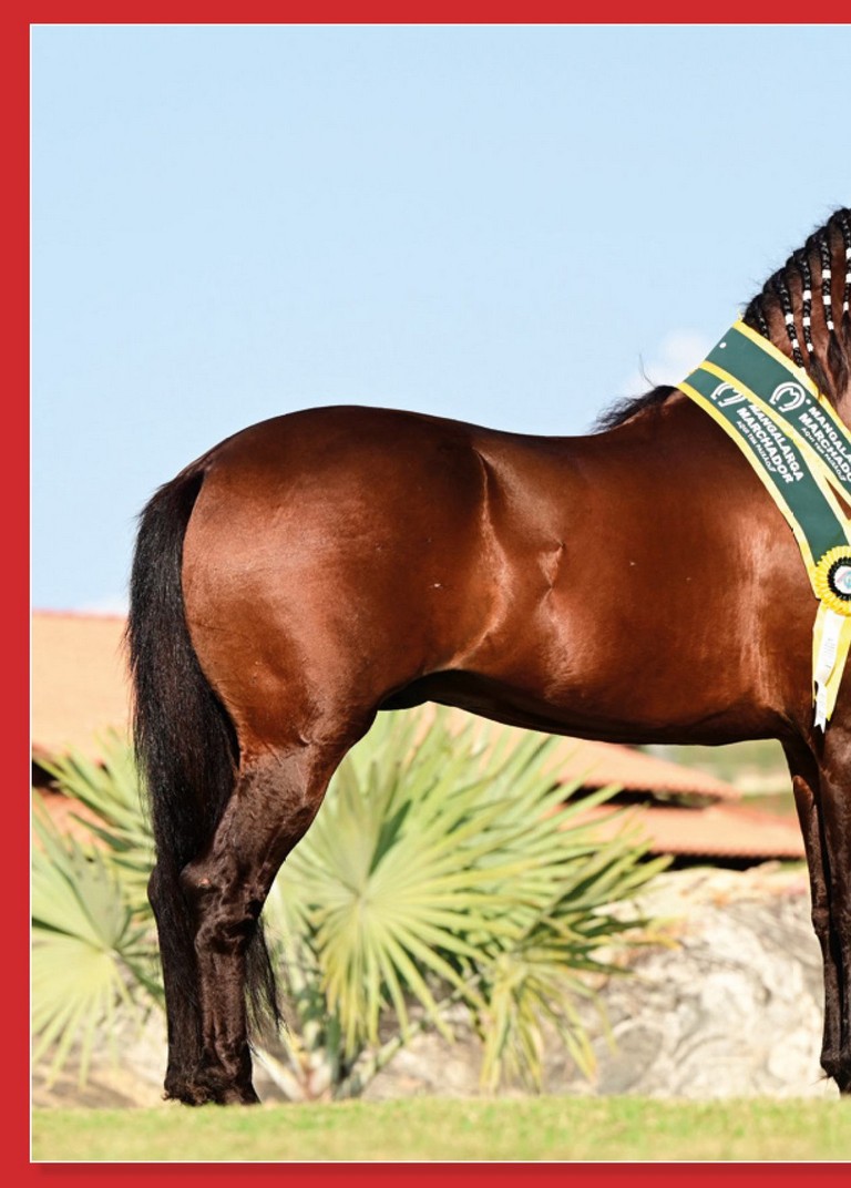 Página 126 Página 126