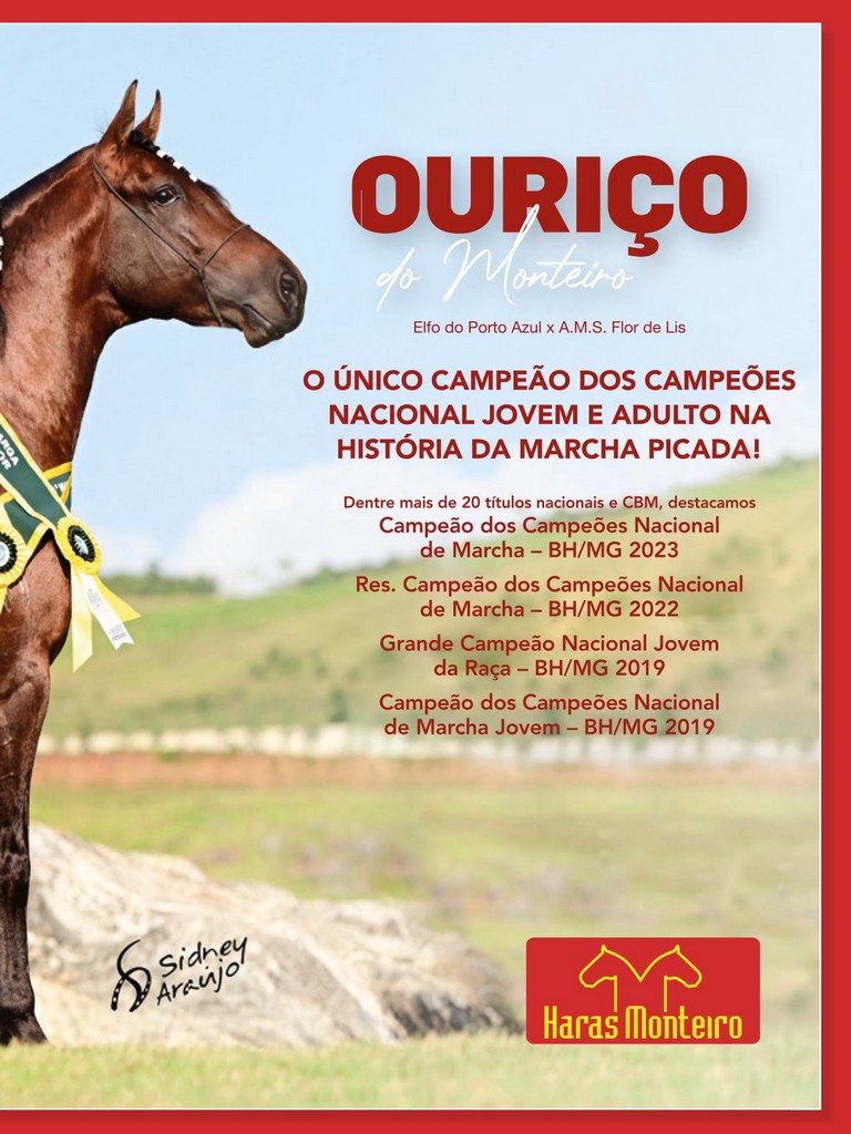 Página 127 Página 127