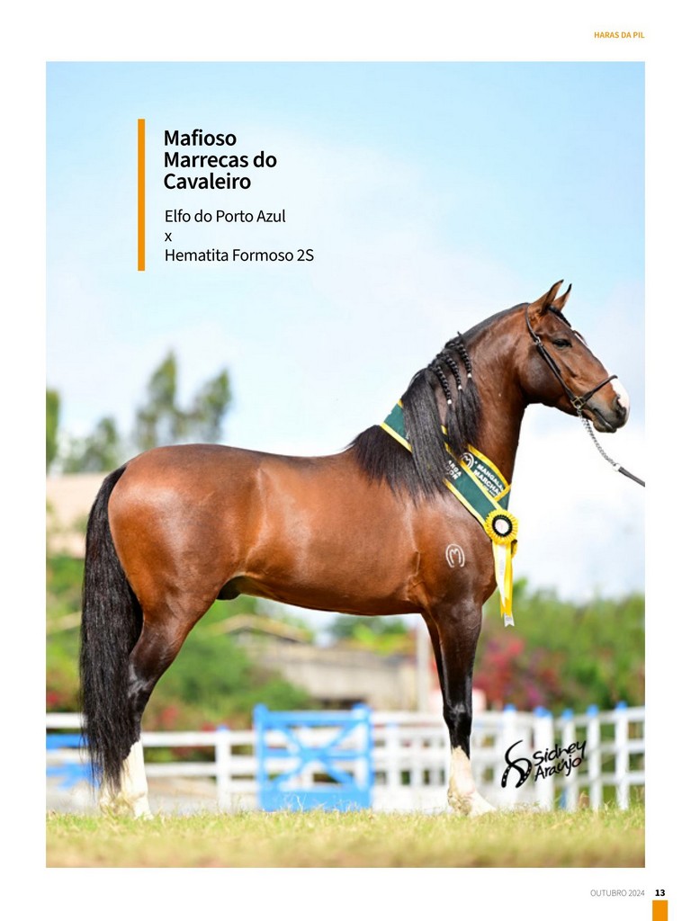 Página 13 Página 13