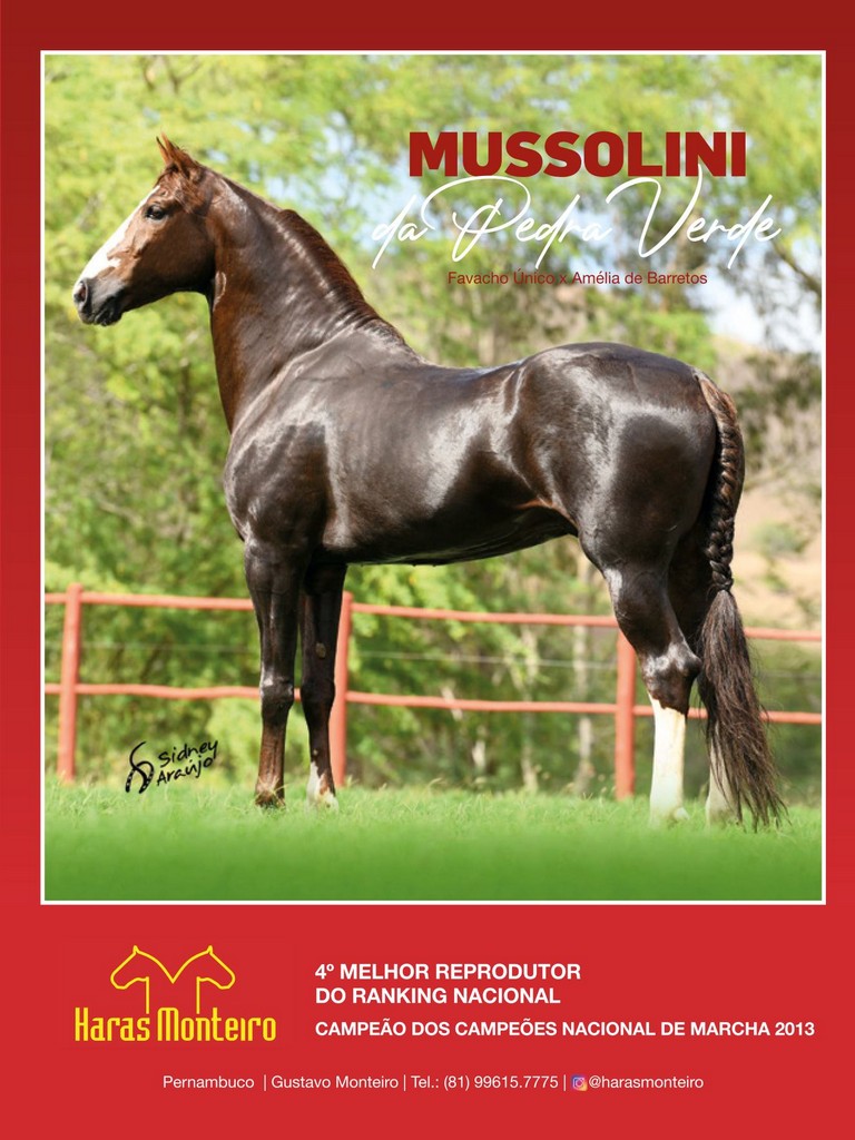 Página 131 Página 131