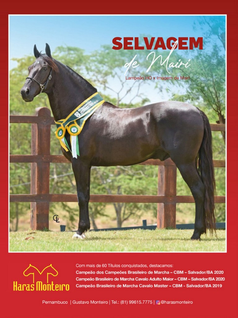 Página 132 Página 132