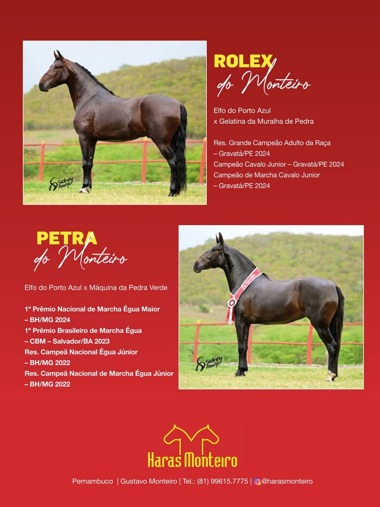 Página 133 Página 133