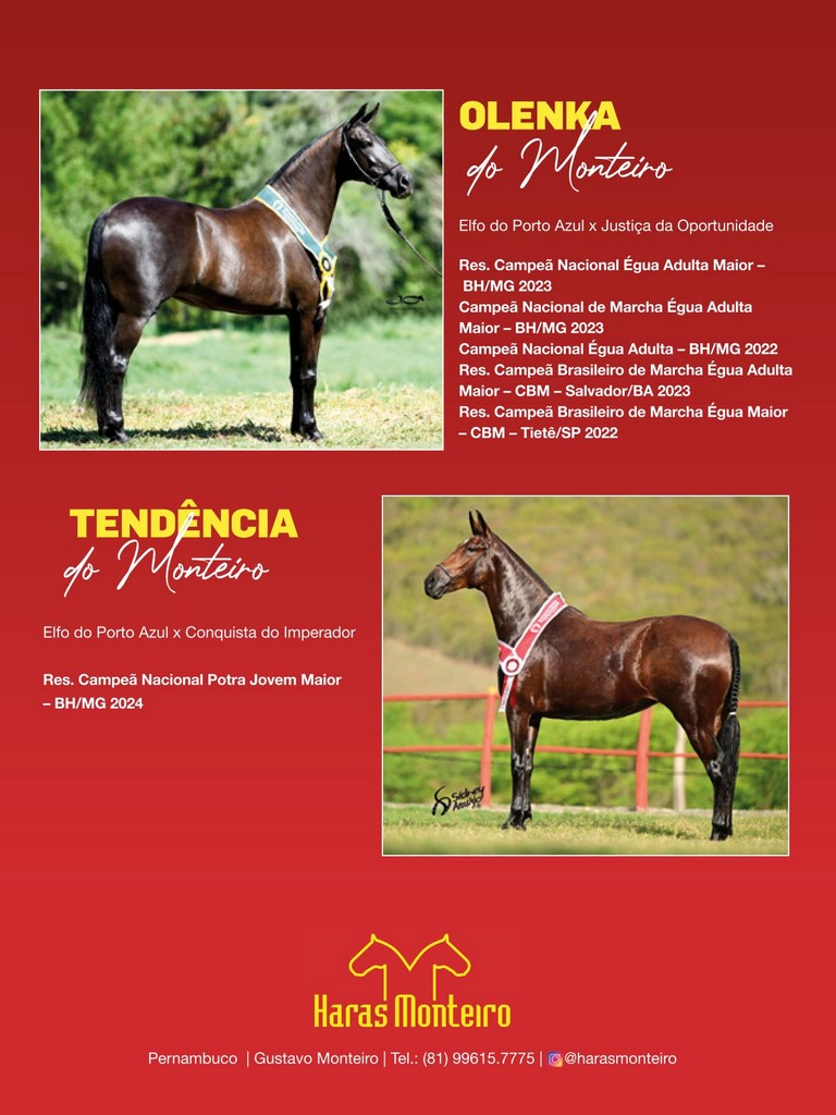 Página 134 Página 134