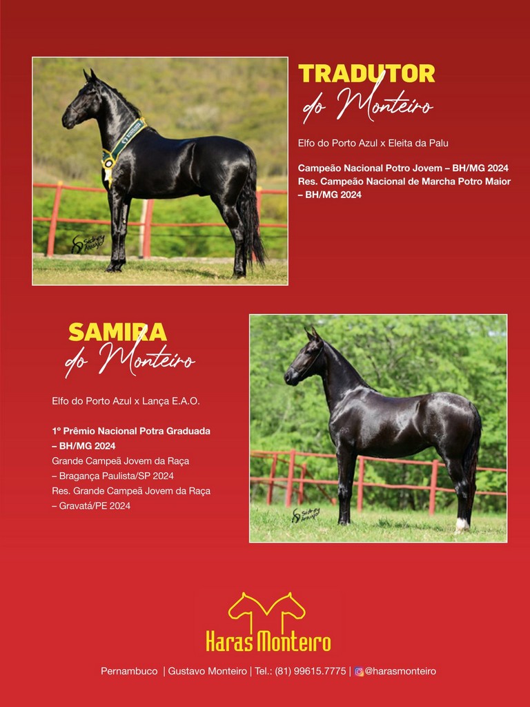 Página 135 Página 135