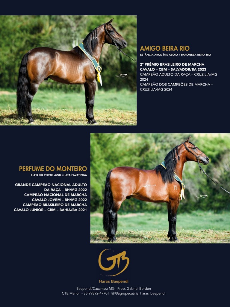 Página 138 Página 138