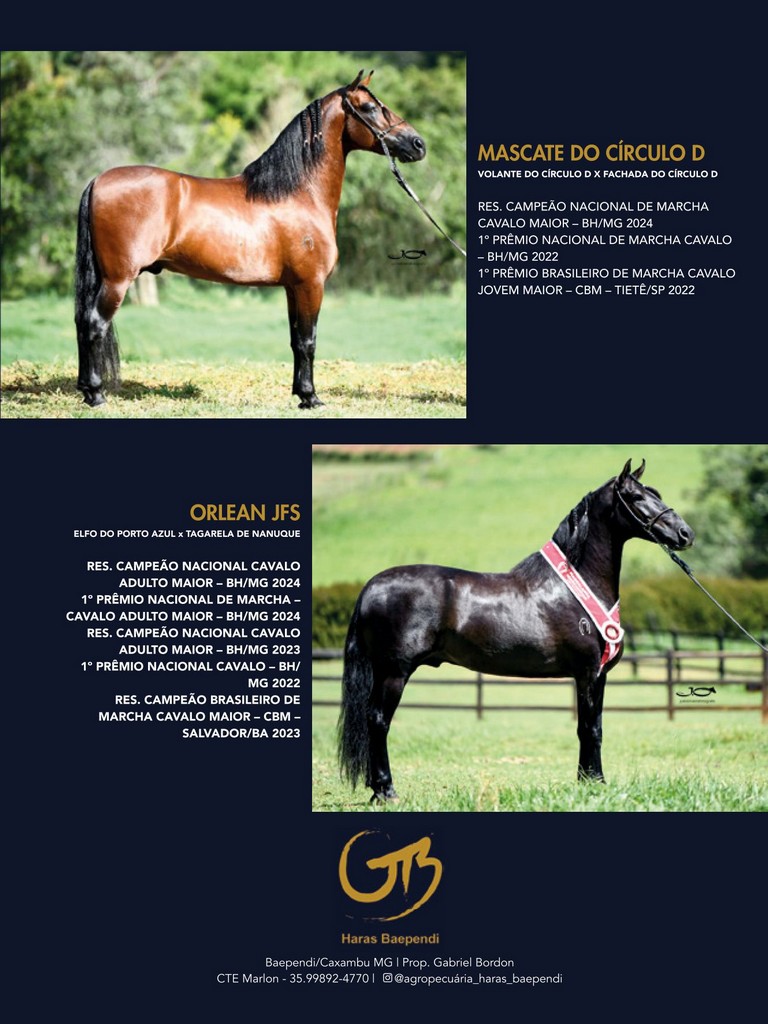 Página 139 Página 139