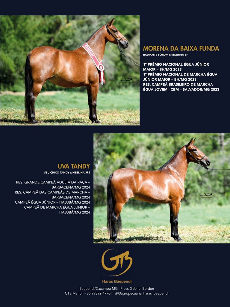 Página 141 Página 141