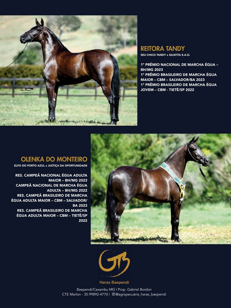 Página 142 Página 142