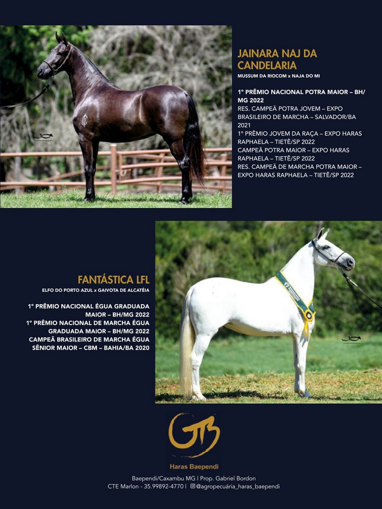 Página 143 Página 143