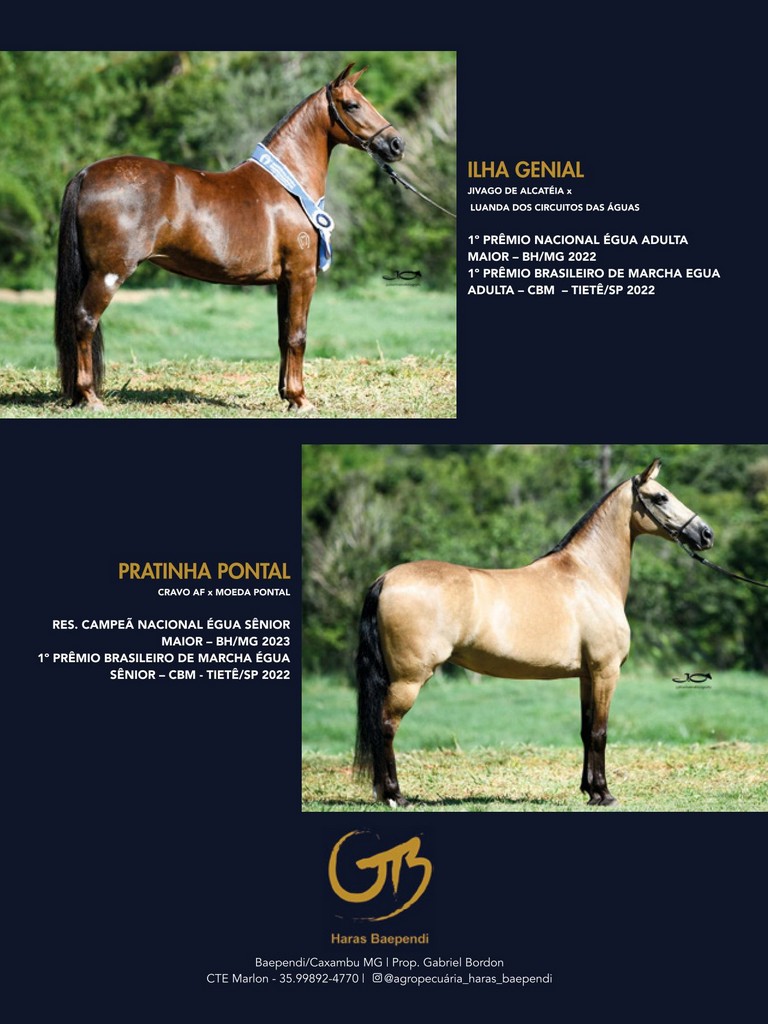 Página 144 Página 144