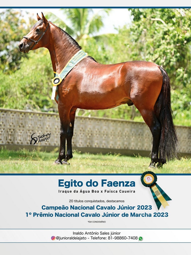 Página 145 Página 145