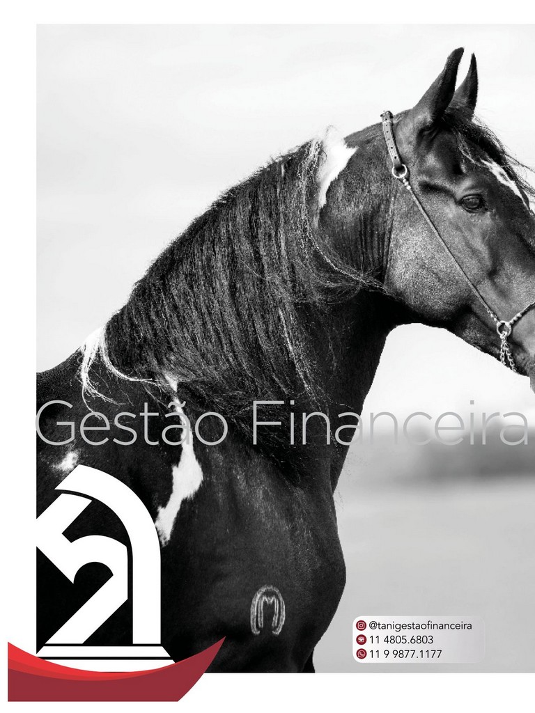 Página 146 Página 146