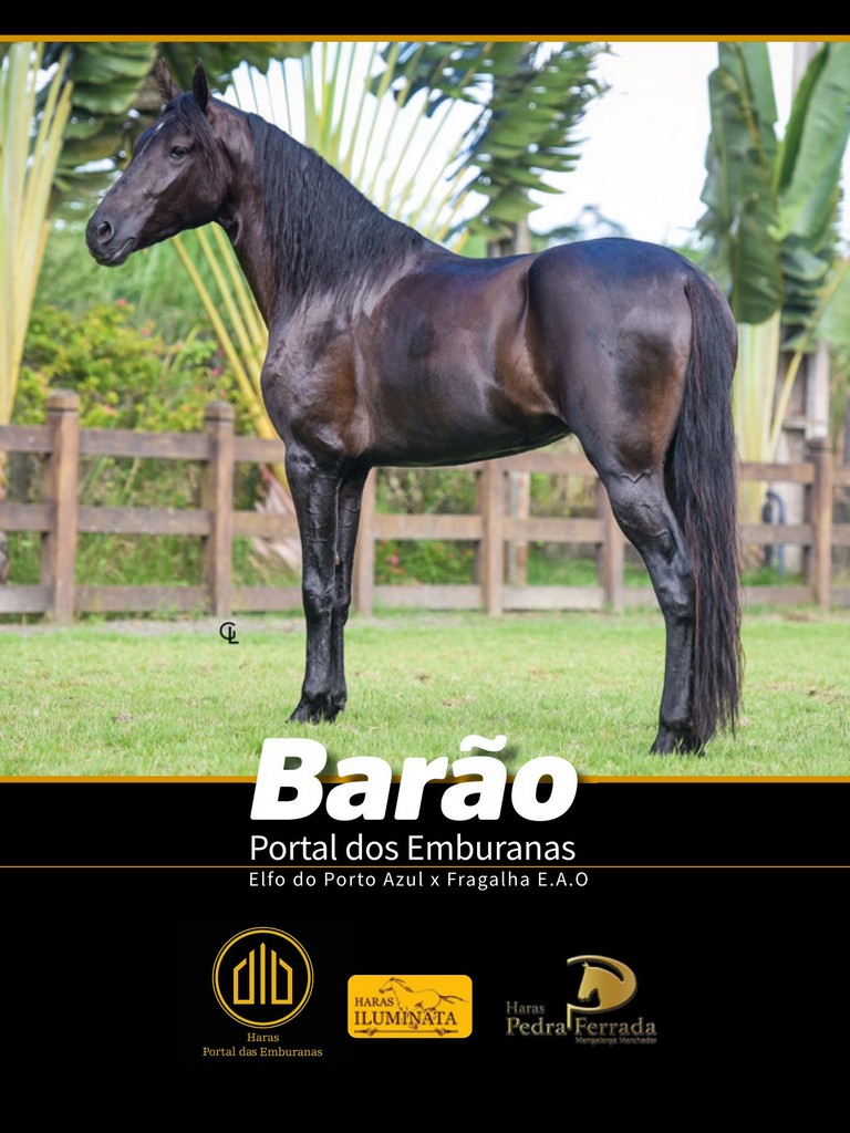 Página 148 Página 148