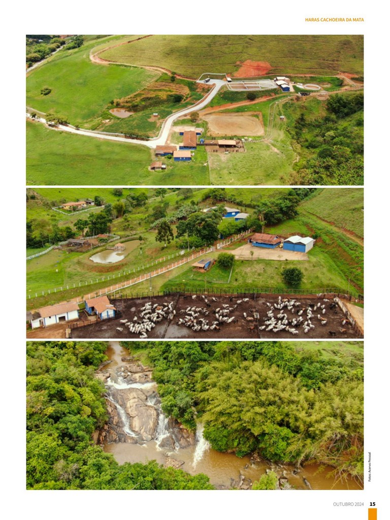 Página 15 Página 15