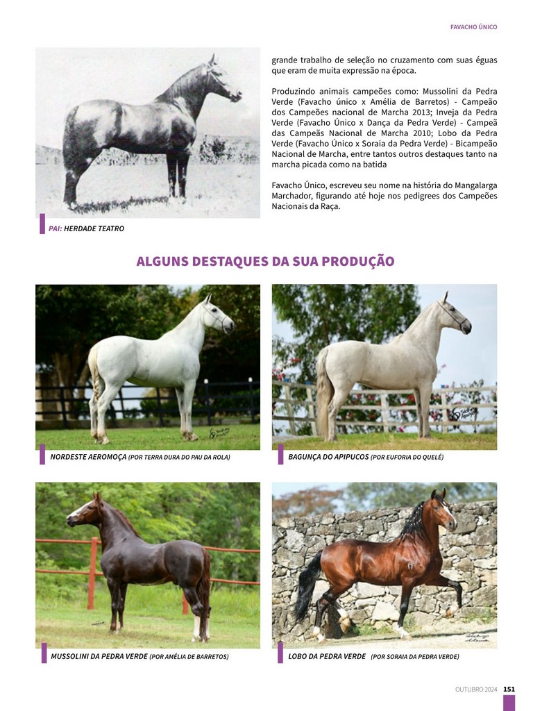 Página 151 Página 151