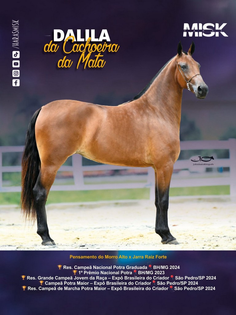 Página 152 Página 152