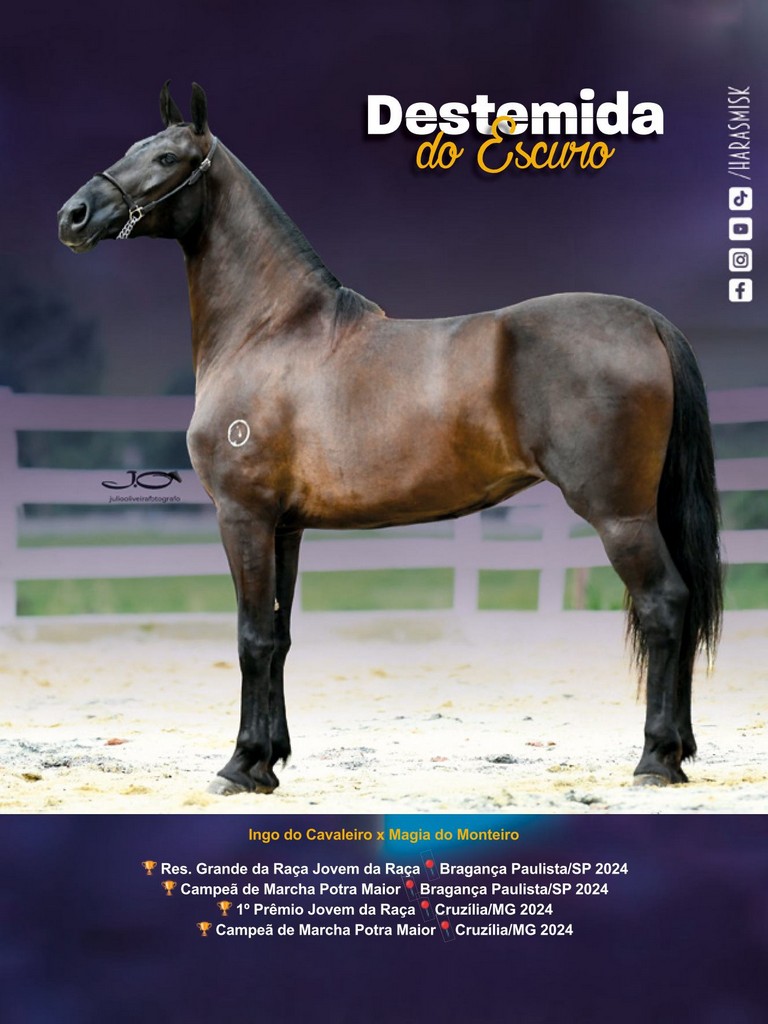 Página 153 Página 153