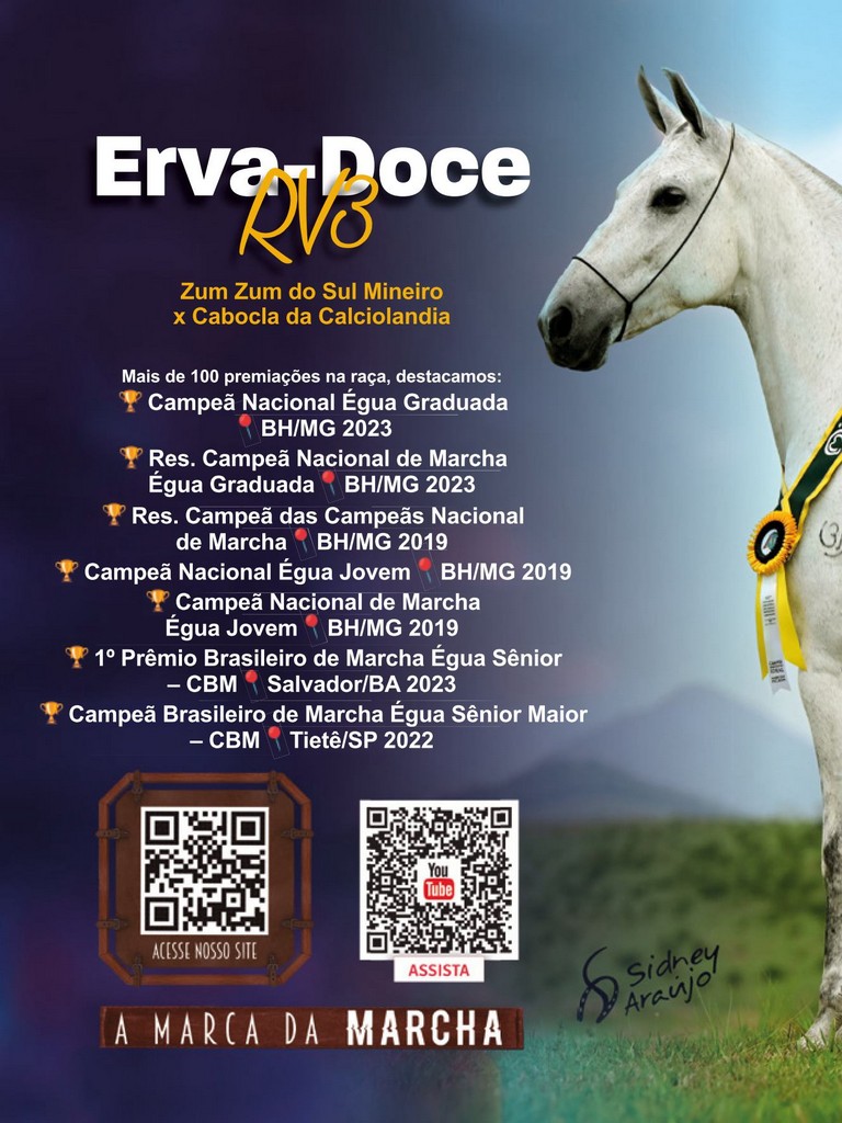 Página 154 Página 154