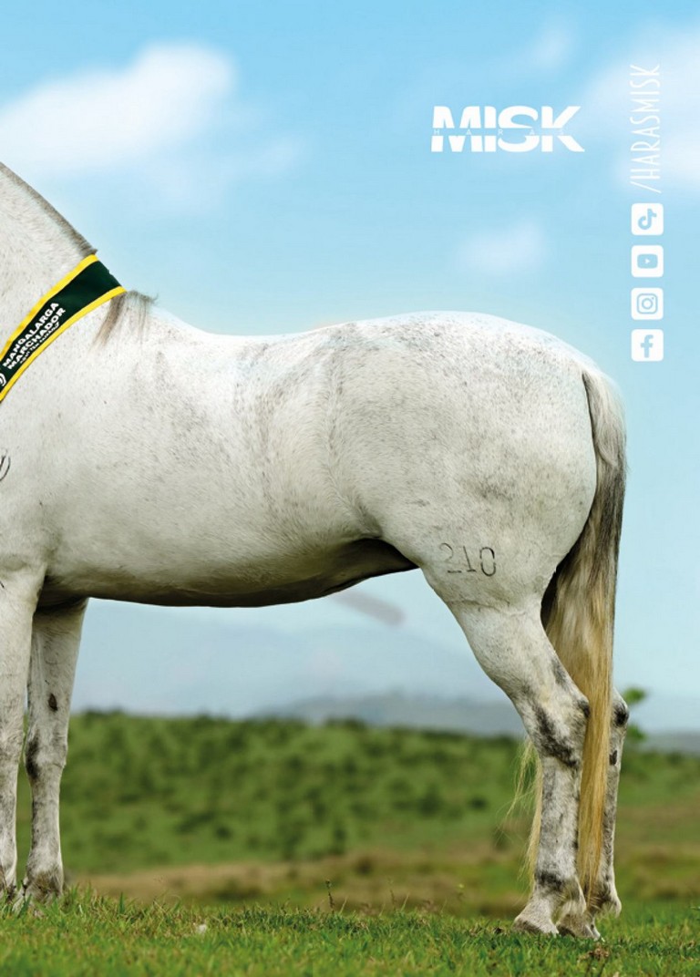 Página 155 Página 155