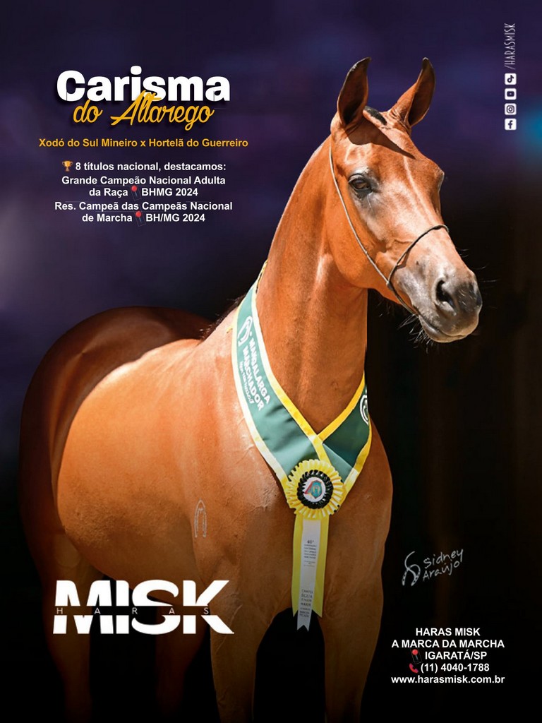 Página 156 Página 156