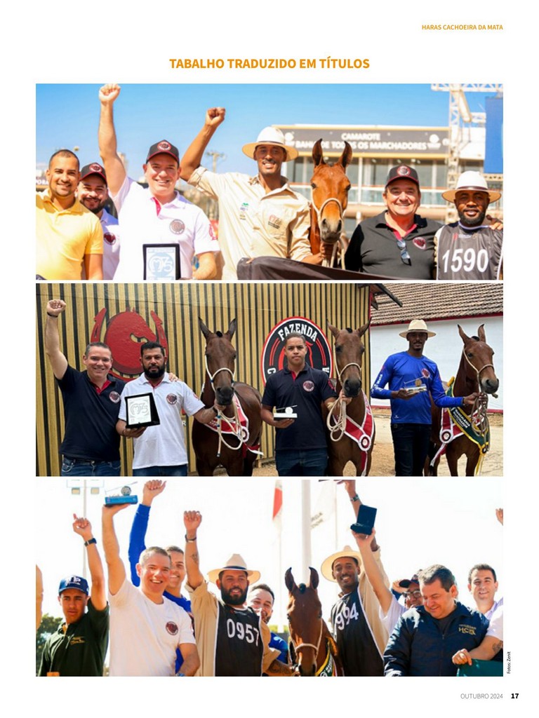 Página 17 Página 17