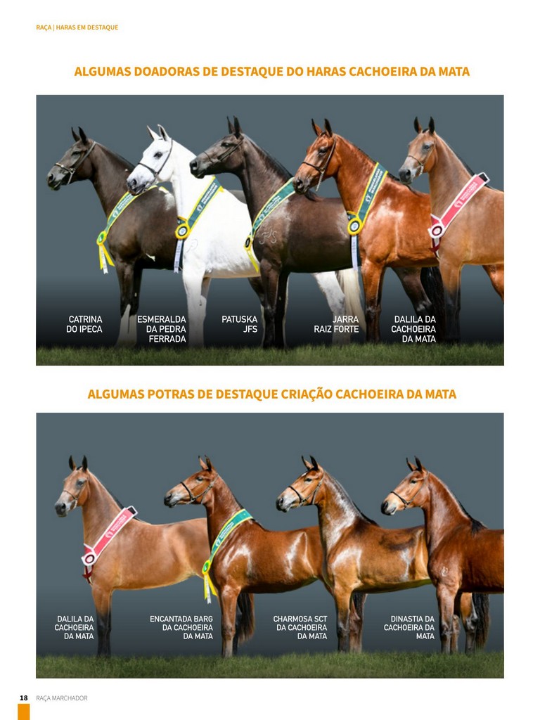 Página 18 Página 18