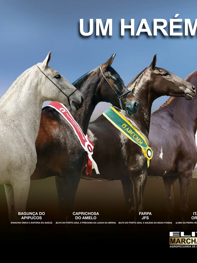 Página 20 Página 20