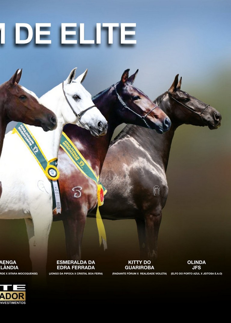 Página 21 Página 21