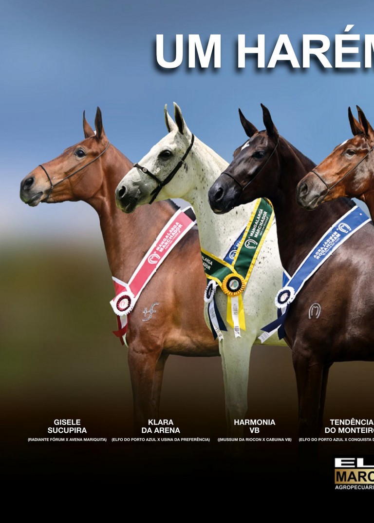 Página 22 Página 22