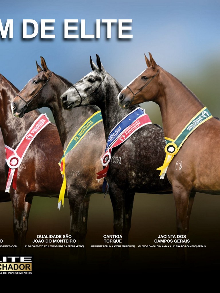 Página 23 Página 23