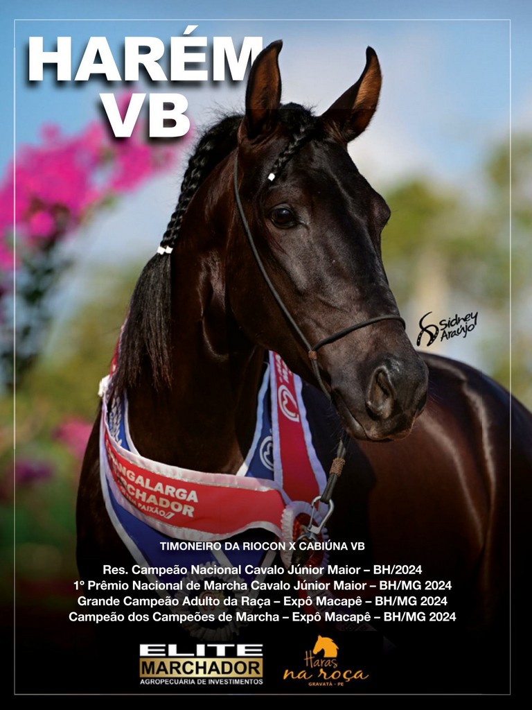 Página 24 Página 24