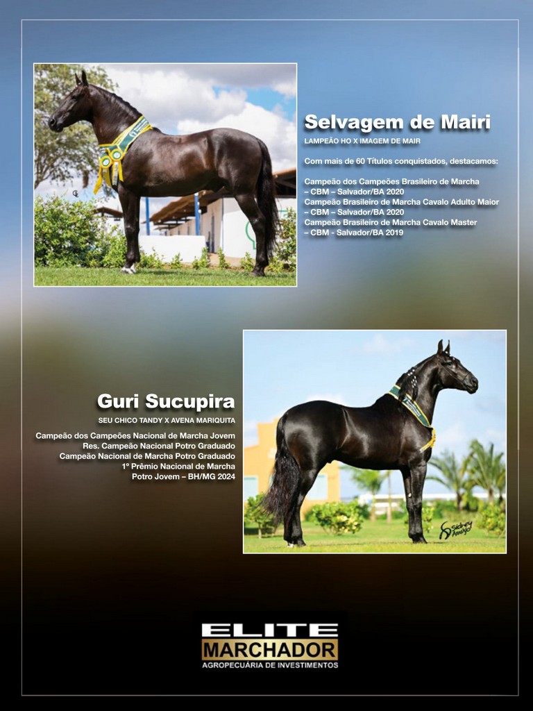 Página 25 Página 25