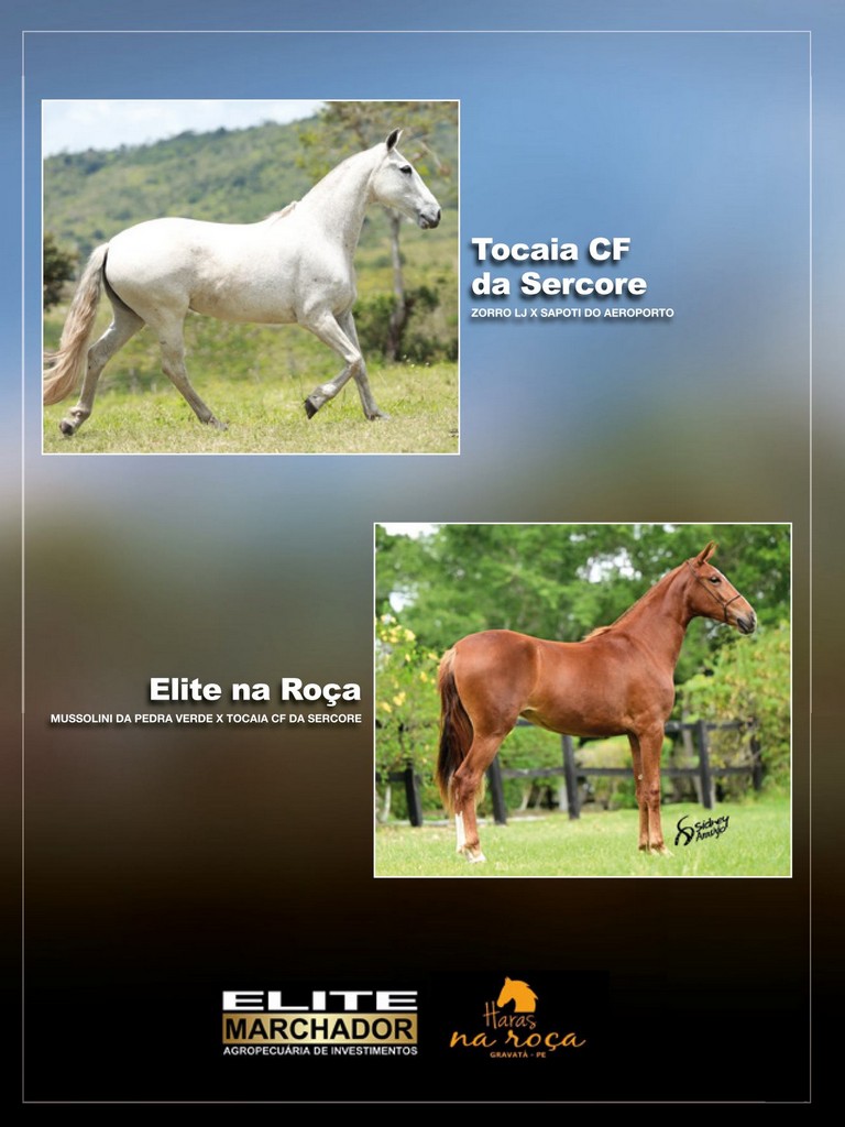 Página 26 Página 26