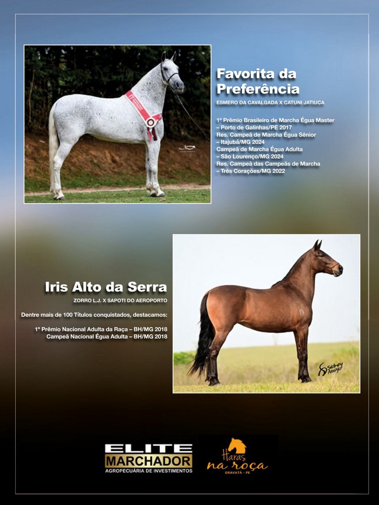 Página 27 Página 27