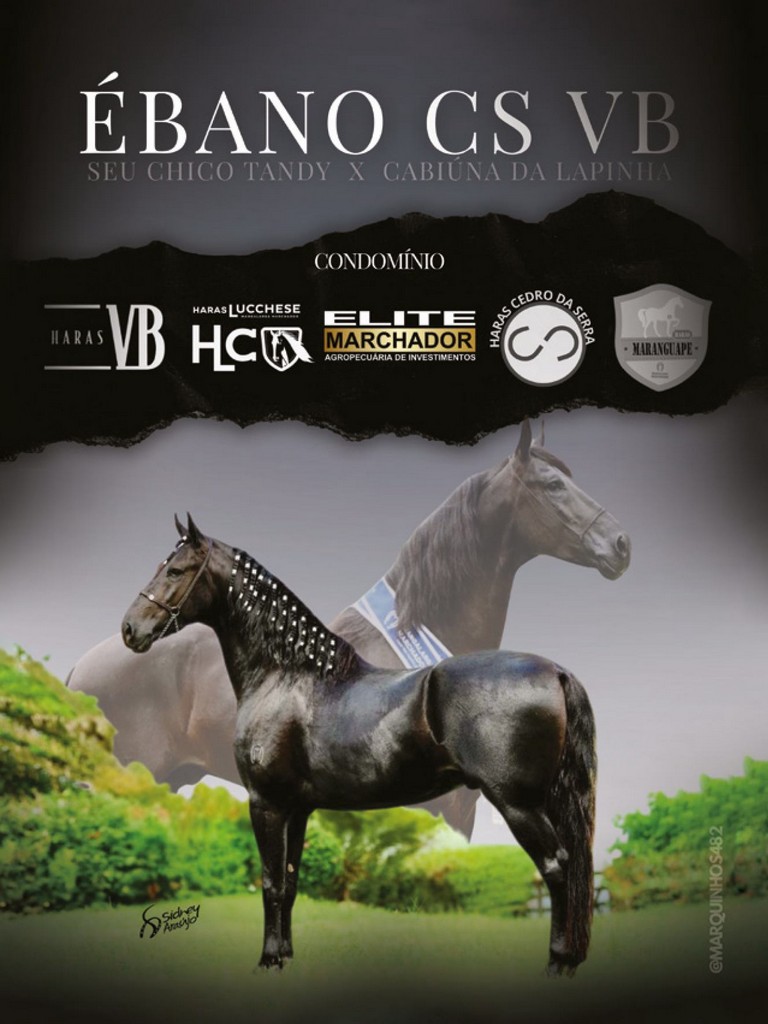 Página 28 Página 28